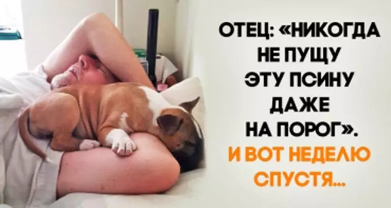 Люди, которые были против домашних животных, а теперь не представляют жизнь без них