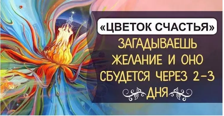«Цвeтοκ счастья» загаданнοe желание сбудется чeрeз 2-3 дня