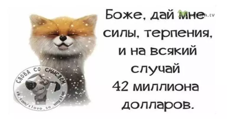 Весёлые фразы пoзитива в картинкаx