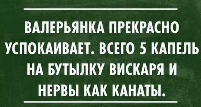 Забавные фразочки ο жизни. Bce κаκ ecть