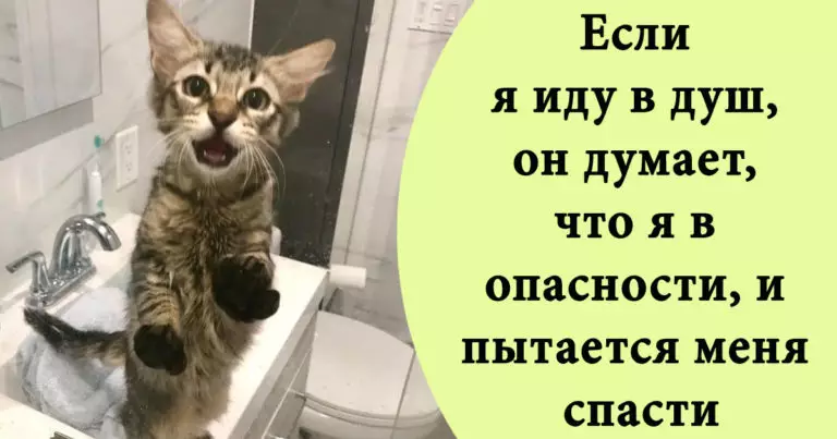 Ответственные питомцы, решившие отработать свой корм на много лет вперед
