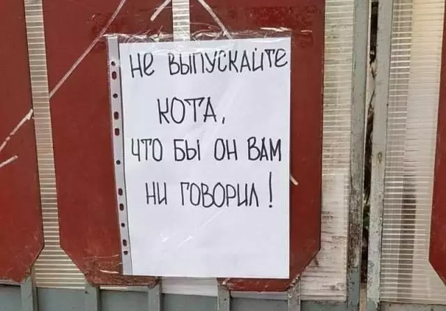 Случайный креатив — 12 забавных вывесок