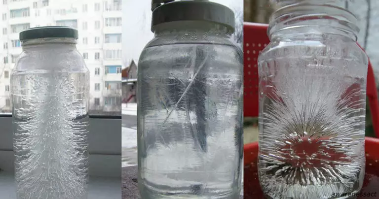 To Check for Hexes in Your Home, All You Need is Salt and Water